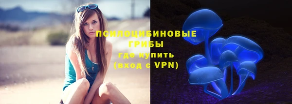 индика Липки