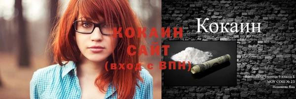 индика Магадан