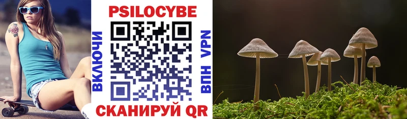 блэк спрут вход  Томмот  Псилоцибиновые грибы Cubensis 